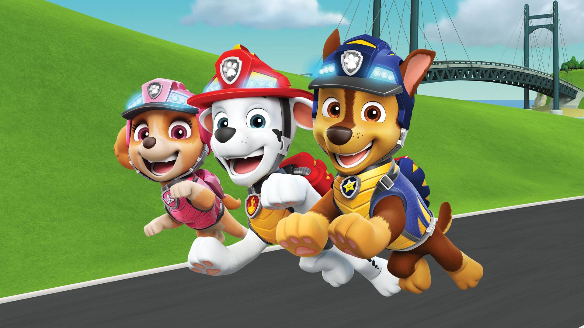 Paw Patrol S08 B25