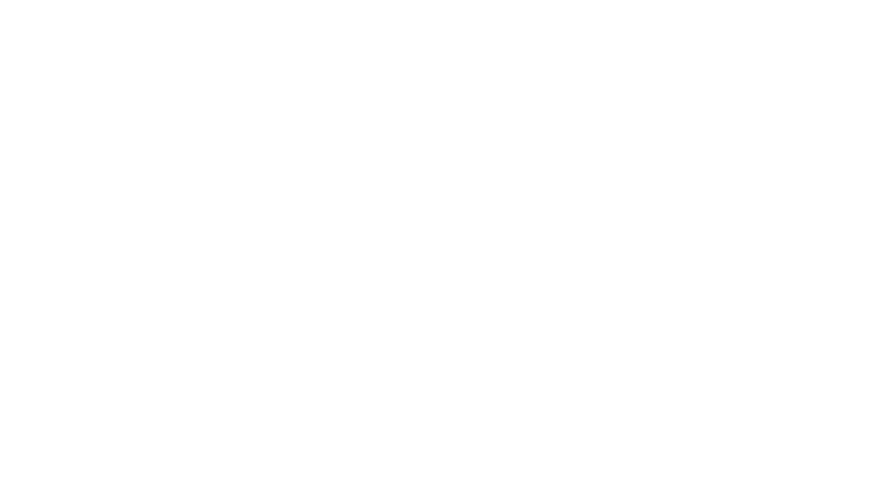 Köpekbalıkları